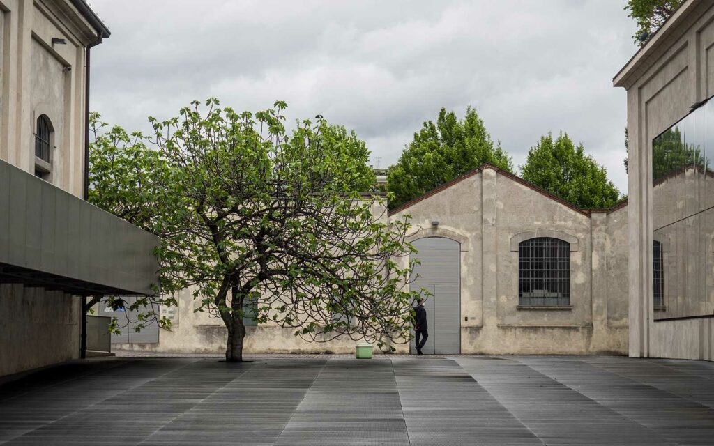 gifford roth img 44 1.jpeg